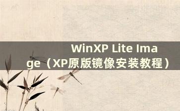 WinXP Lite Image（XP原版镜像安装教程）